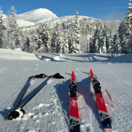Hytta Pa Fikstjonn Med Panoramautsikt 펜션 *