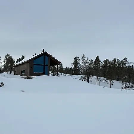 Hytta Pa Fikstjonn Med Panoramautsikt Hébergement de vacances Hjartdal