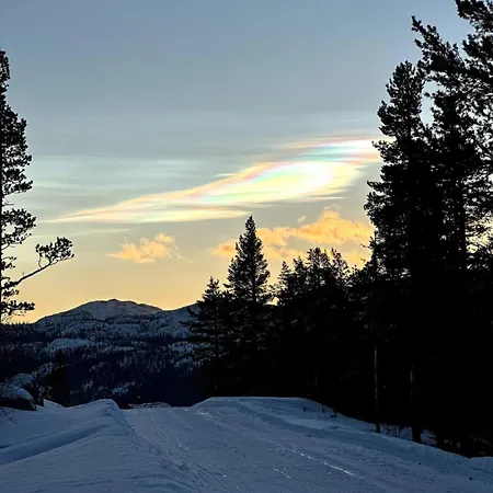 Hytta Pa Fikstjonn Med Panoramautsikt Hébergement de vacances *