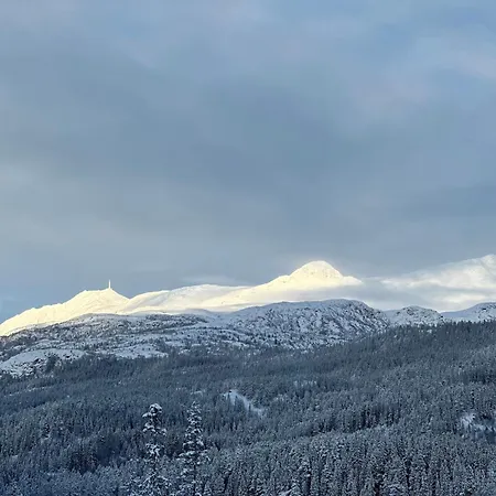 Hytta Pa Fikstjonn Med Panoramautsikt